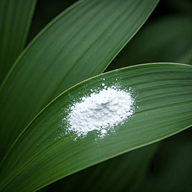 Powdery mildew illustration from the Plant Sickness Identifier threat library