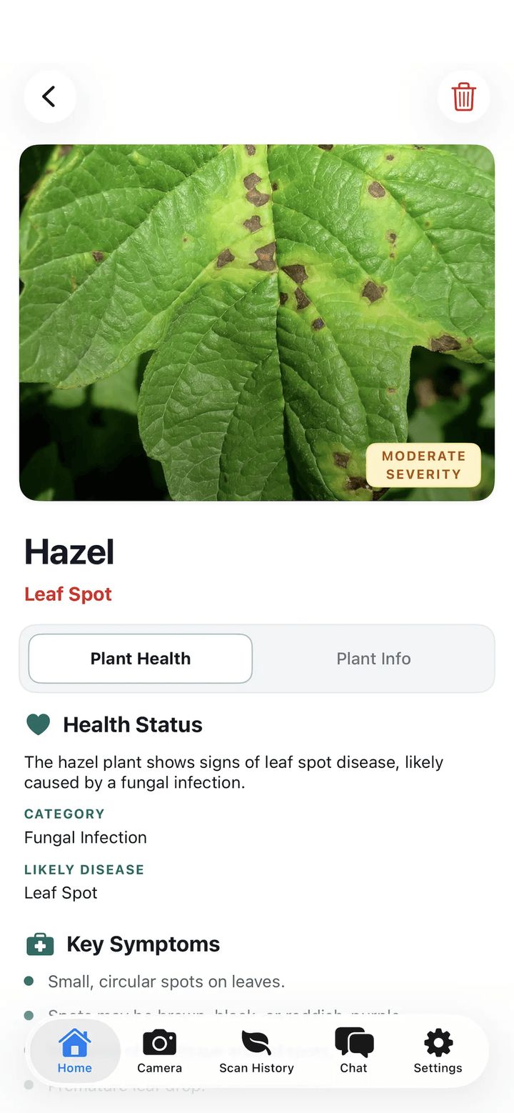 Result screen diagnosing a hazel leaf with leaf spot, a fungal infection of moderate severity, with key symptoms listed