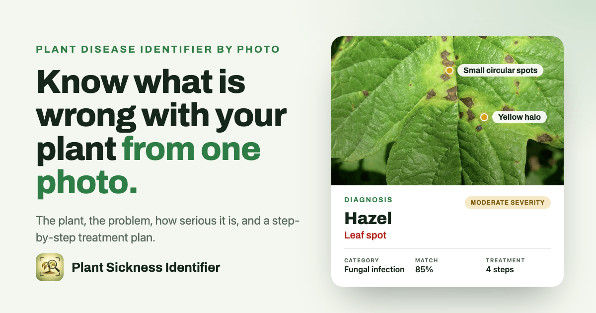 Plant Sickness social preview image